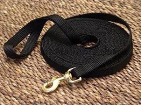 Nylon Dog Leash for Patrolling and Tracking
