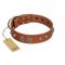 "Era Infinitum" FDT Artisan Tan Leather Belgian Malinois Collar Adorned with Chrome-plated Circles