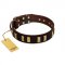 "Peace and Harmony" FDT Artisan Brown Leather Belgian Malinois Collar with Plates