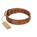 "Great Obelisk" Handcrafted FDT Artisan Tan Leather Belgian Malinois Collar with Large Plates and Pyramids