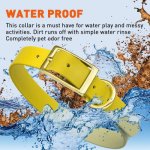 Viper Biothane Collar with Brass Hardware_1