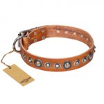"Daily Chic" FDT Artisan Tan Leather Belgian Malinois Collar with Decorations