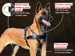 Tracking/Pulling Leather Harness for Belgian Malinois