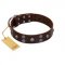 "Skull Valley" Handcrafted FDT Artisan Brown Leather Belgian Malinois Collar with Skulls