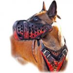 Hand painted Leather Harness for Belgian Malinois
