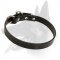 Sound Leather Collar for Belgian Malinois