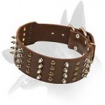 Wide Decorated Leather Collar for Belgian Malinois