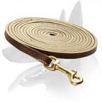 Long Leather Leash for Belgian Malinois