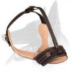 Barking Proof Leather Muzzle for Belgian Malinois