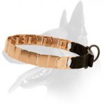 Belgian Malinois Curogan Neck Tech Dog Prong Collar with Click Lock Buckle