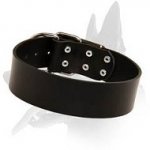 Simple design Leather Collar for Belgian Malinois