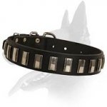Decorated Leather Collar for Belgian Malinois