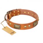 "Saucy Nature" FDT Artisan Tan Leather Belgian Malinois Collar with Old Bronze Look Plates and Skulls