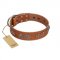 "Brave Spirit" Handmade FDT Artisan Designer Tan Leather Belgian Malinois Collar with Shields