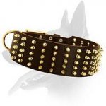Stunning Spiked Leather Collar for Belgian Malinois