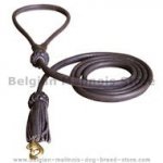 1/2 inch Leather Round Dog Leash for Belgian Malinois