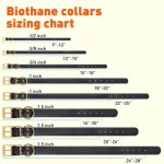 Viper Biothane Collar with Brass Hardware_14