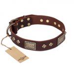 "Loving Owner" FDT Artisan Decorated Leather Belgian Malinois Collar with Plates and Studs
