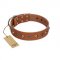 "Silver Age" Fashionable FDT Artisan Tan Leather Belgian Malinois Collar with Silver-Like Studs