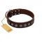 "Starry-Eyed" Best Quality FDT Artisan Brown Designer Leather Belgian Malinois Collar with Small Plates