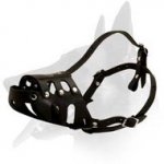 Tight-fitting Leather Muzzle for Belgian Malinois