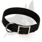 2 Ply Nylon Collar for Belgian Malinois