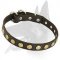 Leather Collar with brass circles for Belgian Malinois