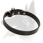 Sound Leather Collar for Belgian Malinois