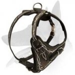 "Barbed Wire" Painted Leather Harness for Belgian Malinois