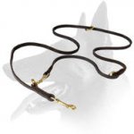 Soft and Gentle Belgian Malinois Dog Leash
