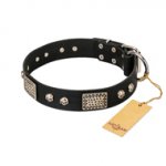 "Pirates Gold" FDT Artisan Black Leather Belgian Malinois Collar with Old Silver Look Plates and Skulls