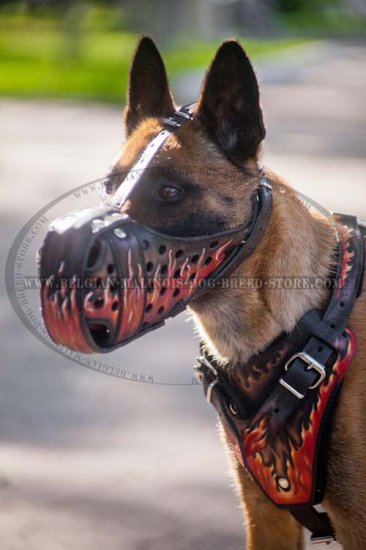 Get Belgian Malinois Hand Painted Muzzle Get Belgian Malinois Hand Painted Muzzle