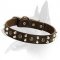 Leather Collar with studs for Belgian Malinois