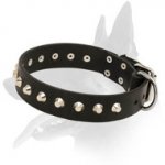 "Daily Elegance" Leather Dog Collar with Nickel-Plated Pyramids for Belgian Malinois