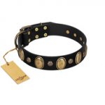 "Gilded Stones" FDT Artisan Black Leather Belgian Malinois Collar with Old Bronze-like Ovals and Studs - 1 1/2 inch (40 mm) wide