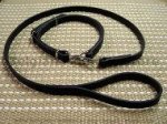 Police / hunting" dog leash and collar (combo)