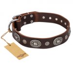 "Extra Pizzazz" FDT Artisan Adorned Brown Leather Belgian Malinois Collar