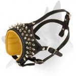 Spiked and Studded Leather Muzzle for Belgian Malinois