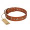 "Gorgeous Roundie" FDT Artisan Tan Leather Belgian Malinois Collar with Chrome-plated Circles