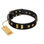 "Rare Dog" FDT Artisan Black Leather Belgian Malinois Collar with Old Bronze-like Dotted Studs and Tiles