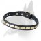 Trendy Leather Collar With Antiques Plates