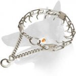 New Belgian Malinois Stainless Steel Dog Pinch Prong Collar