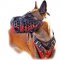 Hand painted Leather Harness for Belgian Malinois