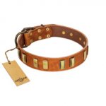 "Olive Slice" FDT Artisan Tan Leather Belgian Malinois Collar with Engraved and Smooth Plates
