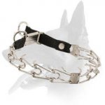 Belgian Malinois Stylish Stainless Steel Pinch Prong Collar with Click Lock Buckle and Nylon Loop