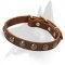 New Unbelievable Studded Leather Collar for your Belgian Malinois