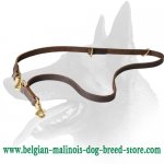 Multi Functional Belgian Malinois Leather Leash Perfect For Training_1