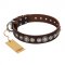 "Step and Sparkle" FDT Artisan Glamorous Studded Brown Leather Belgian Malinois Collar