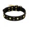 FDT Artisan 'Heavy Metal' Leather Belgian Malinois Collar with Skulls and Studs 1 1/2 inch (40 mm)