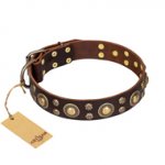 'Flower Melody' FDT Artisan Brown Leather Belgian Malinois Collar with Mixed Studs